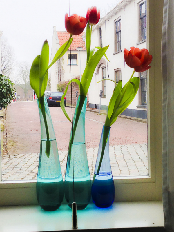 Lente.